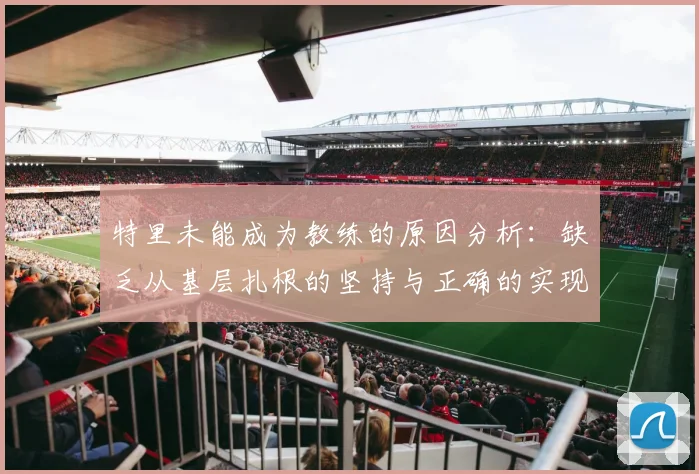 特里未能成为教练的原因分析：缺乏从基层扎根的坚持与正确的实现方式