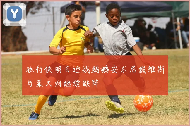 独行侠明日迎战鹈鹕安东尼戴维斯与莱夫利继续缺阵